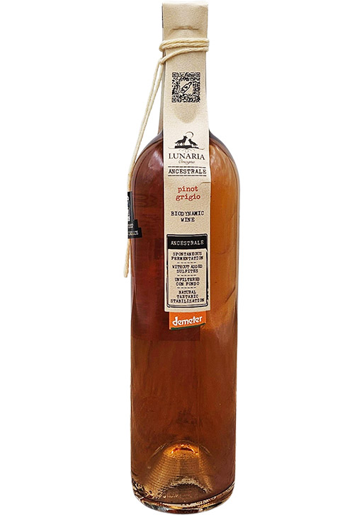 Lunaria Pinot Grigio Ancestral Still Nature / ルナリア・ピノ・グリージョ・アンセストラル・スティル・ナチュレ 2024