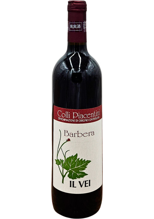 Barbera / バルベーラ 2021