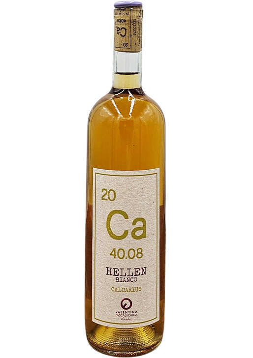 Hellen Orange / ヘレン・オレンジ 2022