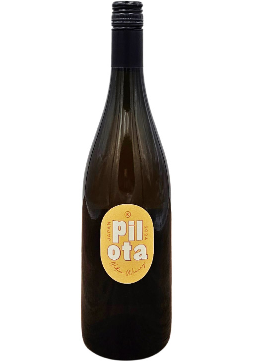 pilota / ピロタ 2024