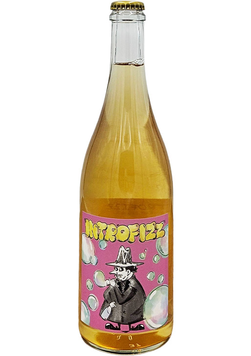 INTROFIZZ / イントロフィズ 2024