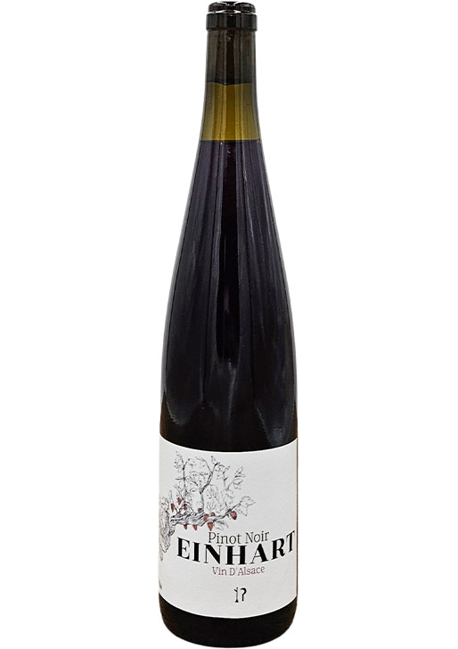 Pinot Noir / ピノ・ノワール 2024