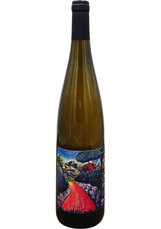 On Dirait le Sud / オン・ディレ・ル・スッド 2024