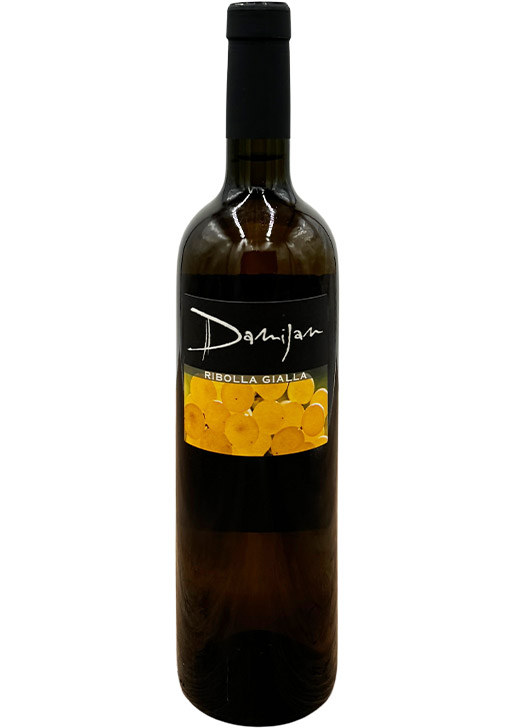 Ribolla Gialla / リボッラジャッラ 2020