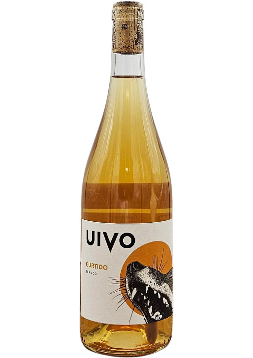 UIVO CURTIDO / ウィヴォ・クルティド 2024