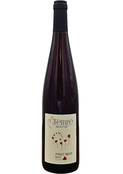 MT Vins Pinot Noir / MT ヴァン ピノノワール 2024