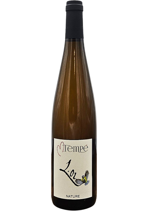 MT Vins L.01 Couleur Corail / MT ヴァン L.01 クルール・コライユ 2024