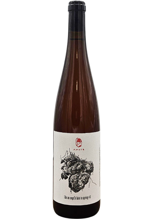 Marto Like An Angel's Kiss In Spring / マルト・ライク・アン・エンジェル・キス・イン・スプリング 2023