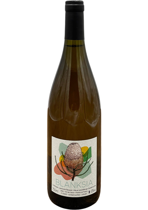 Blanksia / ブランクシア 2023