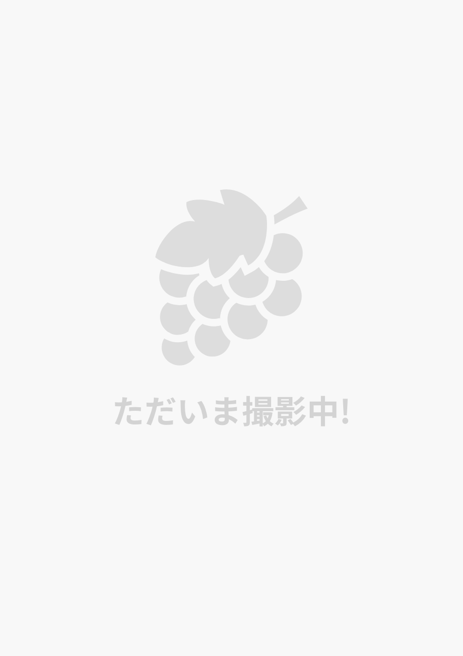 Point Dume / ポイント・デューム 2021