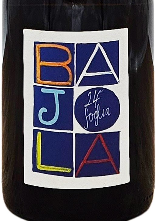 Bianco Bajola Foglia / ビアンコ・バイヨラ・フォッリァ 2024