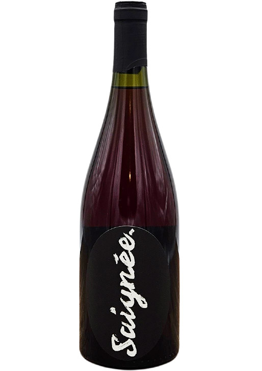 Saignee Pinot Noir / セニエ ピノ・ノワール 2025