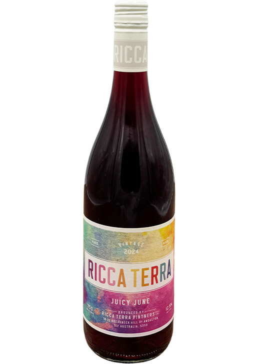 外飲みにおすすめワイン4本セット