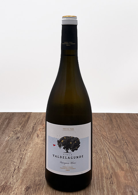 Valdelagunde, Sauvignon Blanc / ヴァルデラグンデ、ソーヴィニヨン 2019
