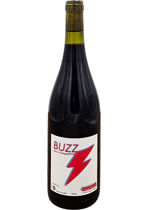 Buzz / バズ 2023
