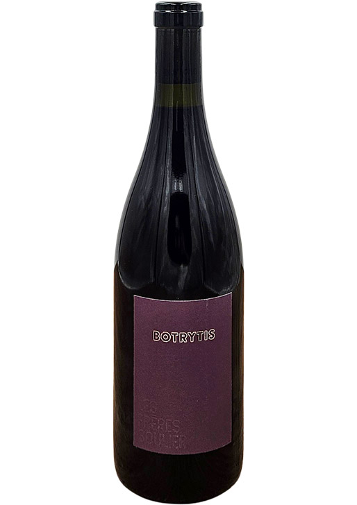 Botrytis / ボトリティス 2023