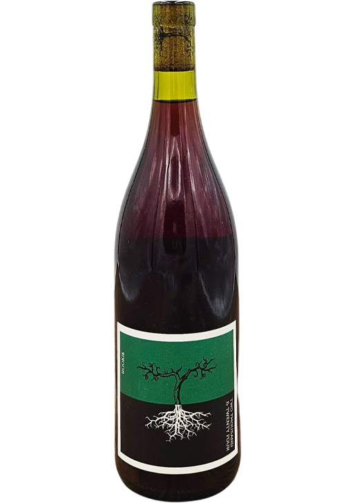 Rookie / ルーキー 2024