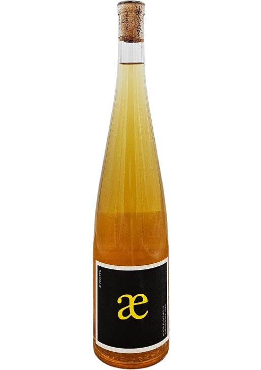 Eventyr / エイヴェンチュア 2024