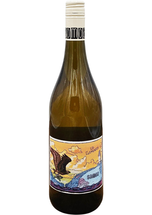 Los Elementos Amber / ロス・エレメントス アンバー 2025