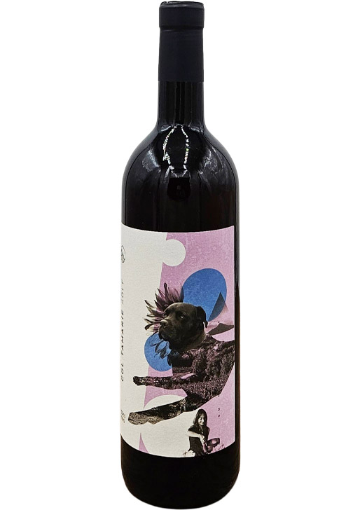 Sole / ソーレ 2023