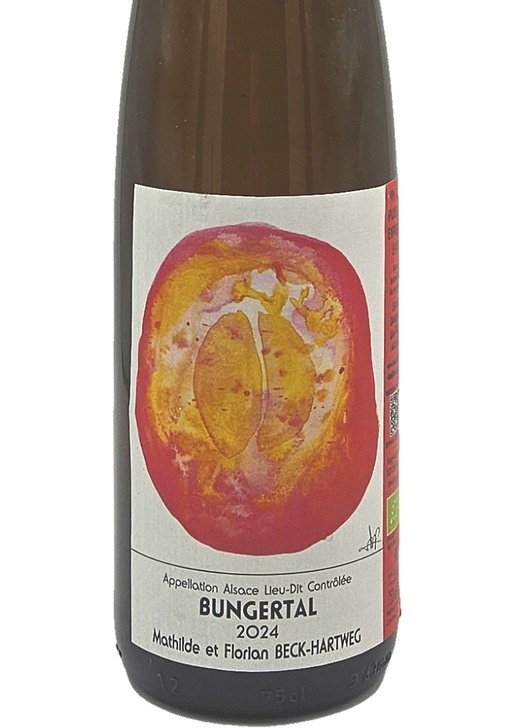 Bungertal / ブンゲルタル 2024