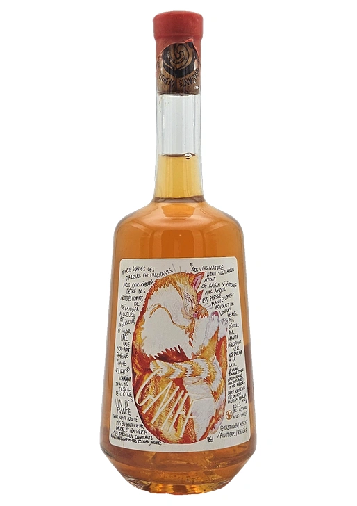 GNIFF / グニフ 2023