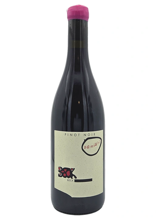 Pinot Noir Bambule / ピノノワール・バンブル 2023