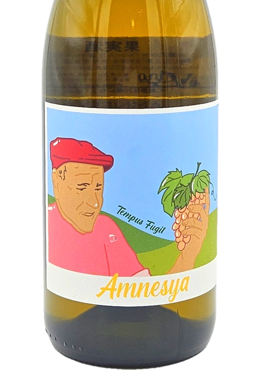 Amnesya / アムネズィーア 2024