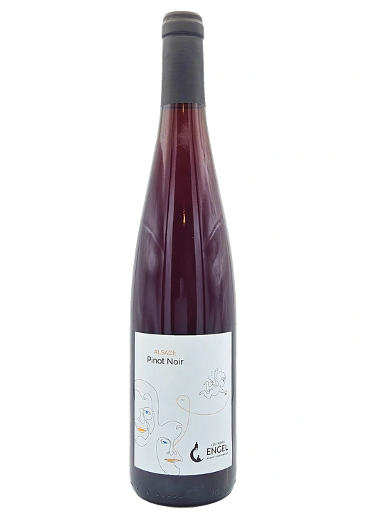 Pinot Noir / ピノ・ノワール 2025