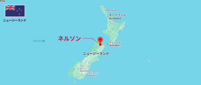 ネルソン