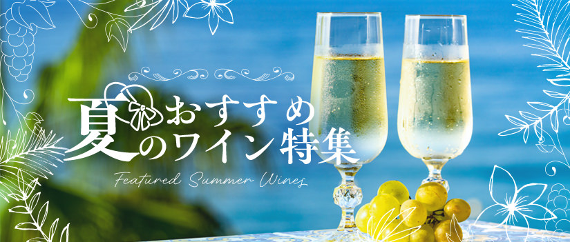 2026夏のおすすめ