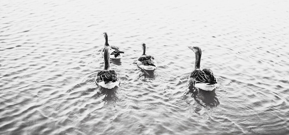 ヴェンツェル