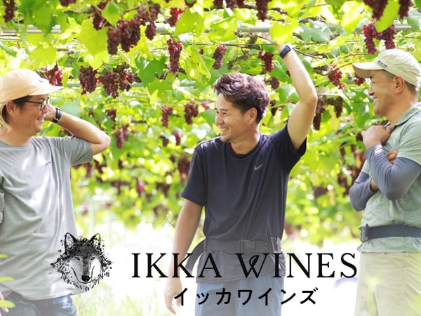 IKKA WINES（イッカワインズ）／一家農園株式会社